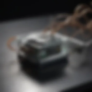 Ultrasonic Pest Control Device Working Mechanism