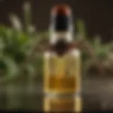Organic essential oils bottle for natural spider control