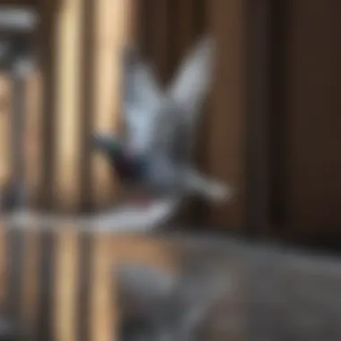 Dislike for Reflective Surfaces Pigeon flying away from reflective surfaces