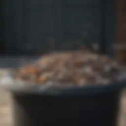 Flies swarming around garbage can