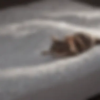 Waterproof Protection