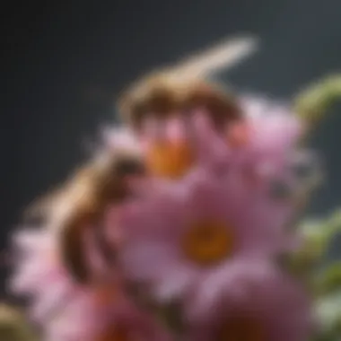 Nature's Pollinators Close-up of honey bees pollinating flowers