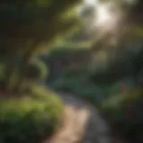 Possum repellent garden