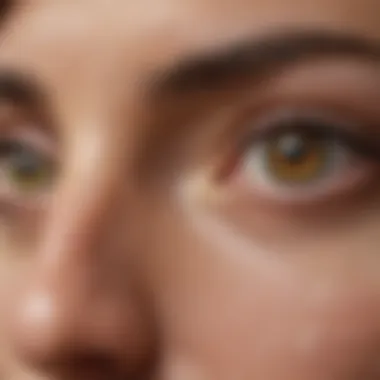 Precise application techniques for Seresto and PetArmor treatments