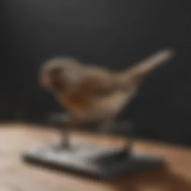Precision Engineering of Bird Snap Trap Precision Engineering of Bird Snap Trap