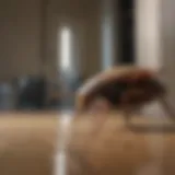 Precision Spraying Technique for Roach Eradication