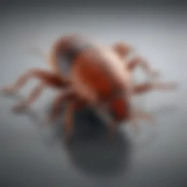 Innovative Product Packaging Design Syngenta 383920 Advion Cockroach Control Product Packaging