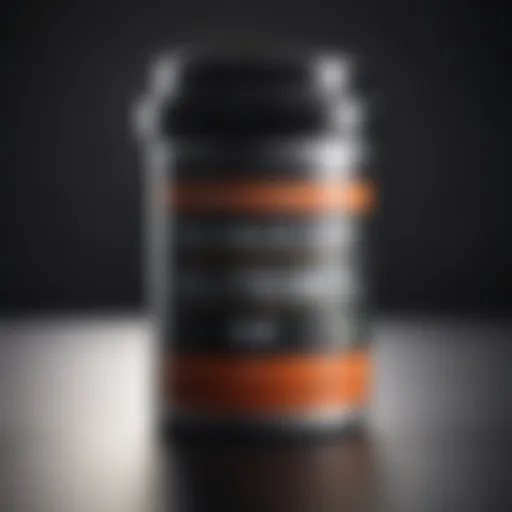 Close-up view of PT Alpine pressurized fly bait canister