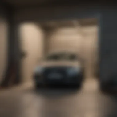 Secure Your Garage with Wire Mesh Raccoon-proofing garage with wire mesh