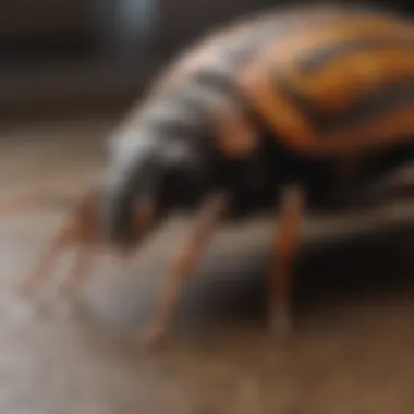 Integrated Pest Control Approach Integrated pest control approach blending various methods