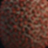 Red wasp nest structure