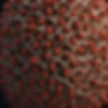 Red wasp nest structure