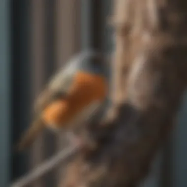 Innovative Reflective Tape for Bird Deterrence Reflective Bird Deterrent Tape