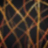 Reflective streamer catching sunlight