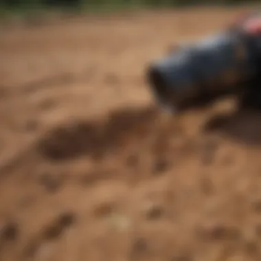 Efficient Soil Extraction of Termite Bait Station Removing termite bait station from soil