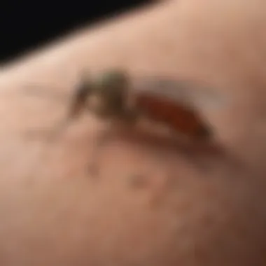 Cutting-Edge Repellent Products Mosquito Repellent Solutions