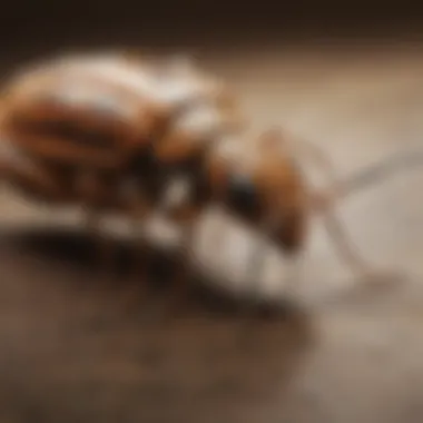 Research on Sustainable Pest Management Practices Research findings on sustainable pest management practices