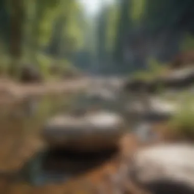 Rock bait stations integrated into a natural landscape.