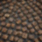 A variety of rodent traps laid out on a surface, showcasing different designs and mechanisms.