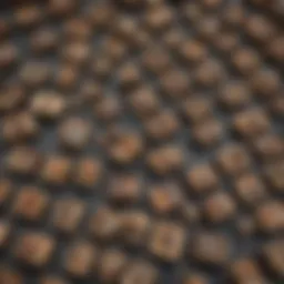 A variety of rodent traps laid out on a surface, showcasing different designs and mechanisms.