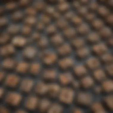 Diverse Rodent Traps A variety of rodent traps laid out on a surface, showcasing different designs and mechanisms.