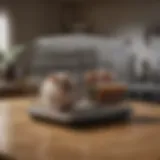 Innovative Rodent Trap Design Rodent Trap in the Kitchen