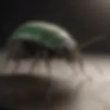 Innovative Pest Detection Technology