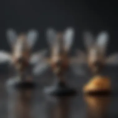 Comparison of Various Fly Zappers Different types of fly zappers displayed side by side.