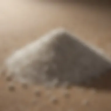 Salt Granules for Pest Control Salt Granules for Pest Control