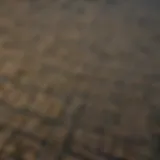 Aerial Perspective of San Gabriel Valley Aerial view of San Gabriel Valley showcasing natural habitats and urban areas.