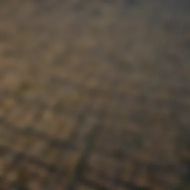 Aerial Perspective of San Gabriel Valley Aerial view of San Gabriel Valley showcasing natural habitats and urban areas.