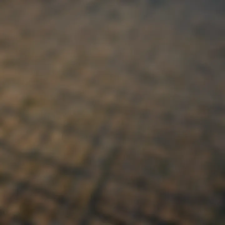 Aerial Perspective of San Gabriel Valley Aerial view of San Gabriel Valley showcasing natural habitats and urban areas.