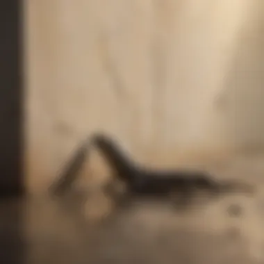 Sealing cracks and crevices in home