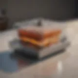 Sleek design roach trap for kitchens