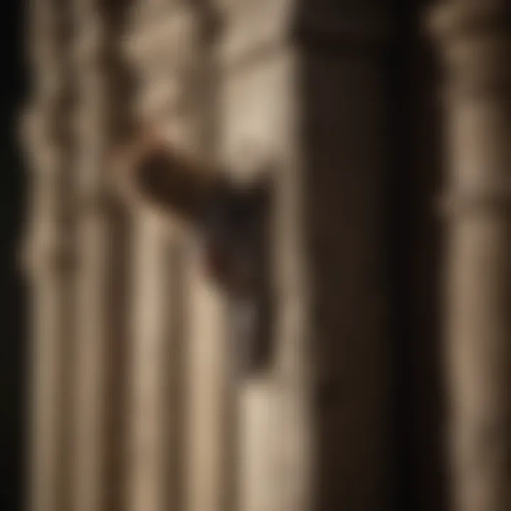 Legal considerations for bat conservation depicted visually
