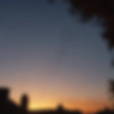Twilight Bat Colony Silhouette of bats against the evening sky