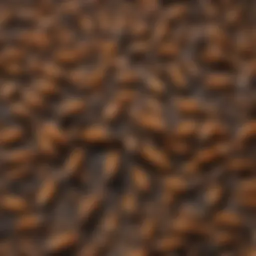 Magnified view of swarming subterranean termites in intricate formation