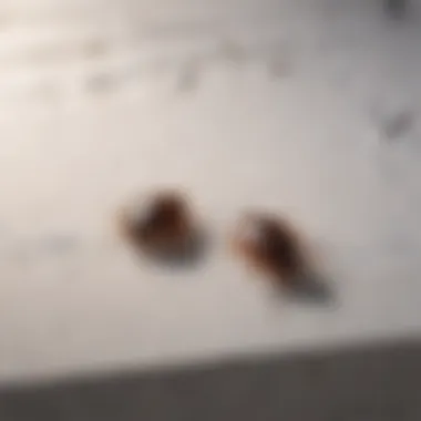 Illustration depicting bed bugs crawling on a mattress near a sleeping person