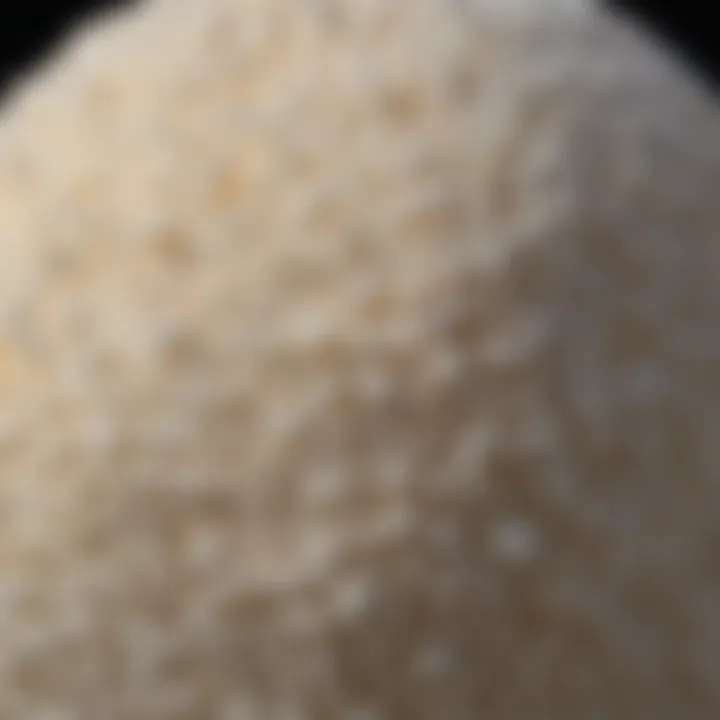 Informative Comparison of Termidor Foam Termidor Foam Comparison Chart