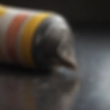 Effective Application Strategies for Termidor HP II Termidor HP II Application Guidelines