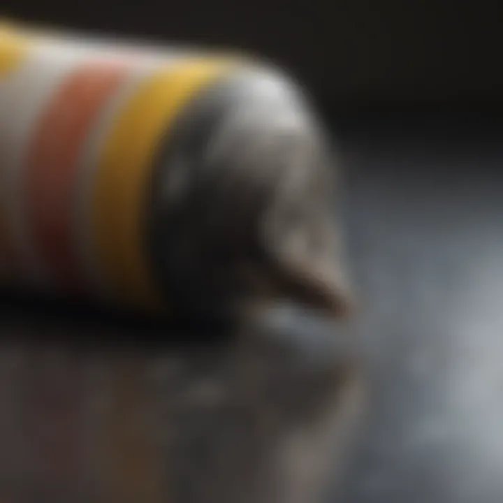 Effective Application Strategies for Termidor HP II Termidor HP II Application Guidelines