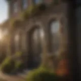 Termimesh Installation in Residential Property Detailed view of Termimesh installation in a residential setting