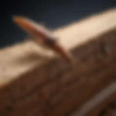 Cutting-Edge Termite Inspection Tools by Terminix Advanced Termite Inspection Technology