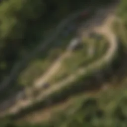 Global Pest Control Strategy Map