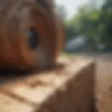 Exterminator inspecting termite damage in Florida