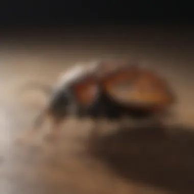 Customer Feedback and Reviews Customer satisfaction with pest control services