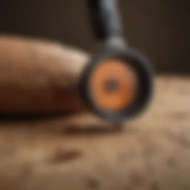Precision Tools for Termite Inspection Termite Inspection Tools in Action