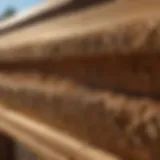 Termite Inspection Tracy CA Structure Damage