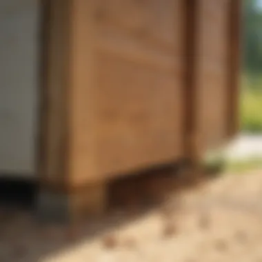 Proactive Prevention Strategies A termite prevention barrier around a house