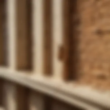 Termite-Resistant Home Construction